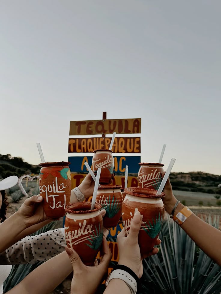 Grupo brindando con jarritos en un campo de agaves